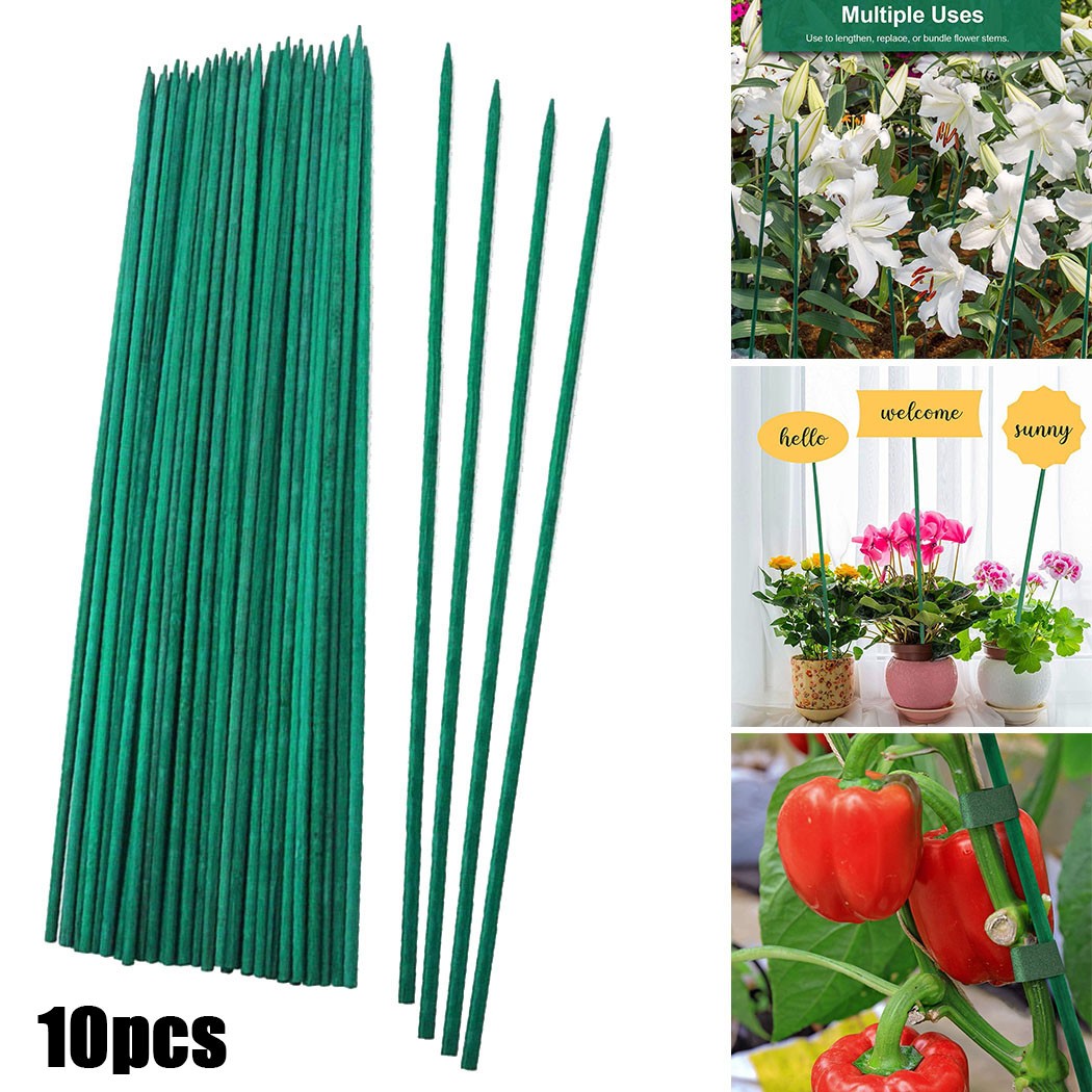 Plant Support Stake - 10Pcs 40ซม.พืชสีเขียวสนับสนุน Sticks Canes ปลูกผักสำหรับสวนดอกไม้ตกแต่งวันหยุด Plant