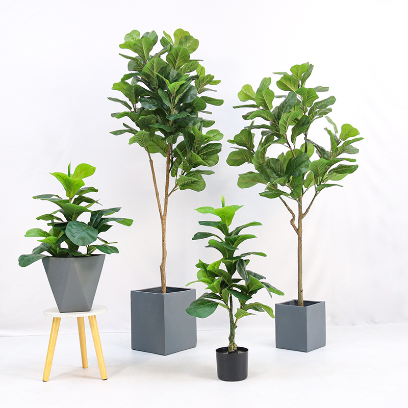 Fiddle Leaf Fig - ต้นไม้ประดิษฐ์ในกระถางพลาสติก ฟิกัสใบฟิดเดิล (Fiddle-leaf Ficus lyrata) ​