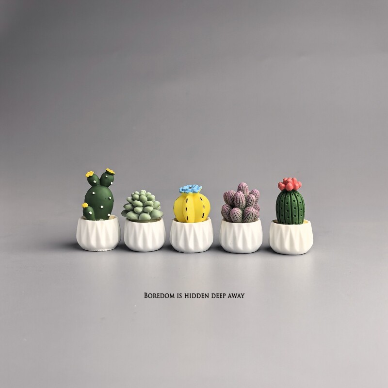 Succulent Set - กระบองเพชรในกระถาง ต้นไม้จิ๋ว ตกแต่งโต๊ะทำงาน น่ารัก บำบัดอารมณ์