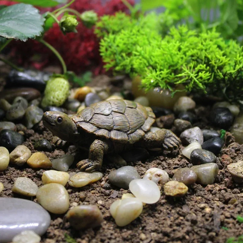 เรซิ่นจําลองเต่าขนาดเล็ก CRAFT - Succulent Set บทวิจารณ์และราคา
