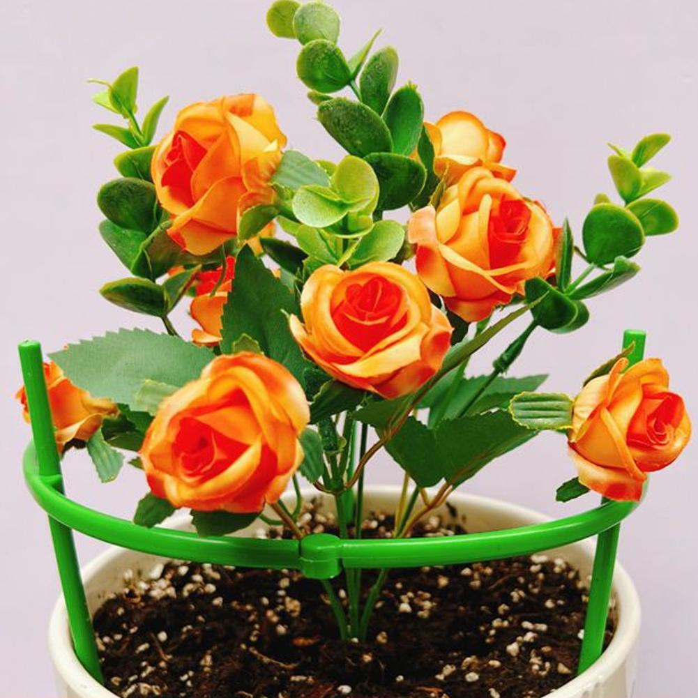 โครงตาข่ายพลาสติกสำหรับมะเขือเ - Terracotta Pot บทวิจารณ์และราคา