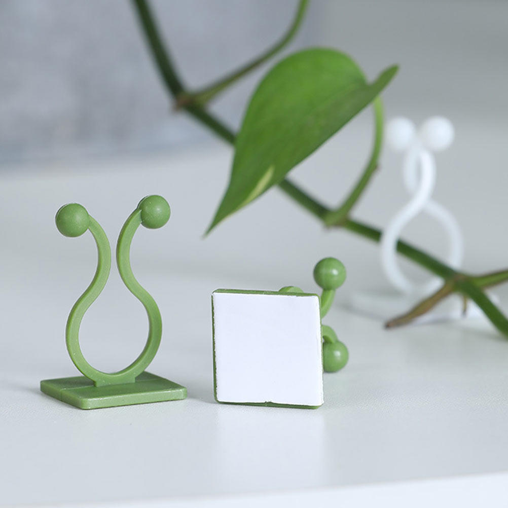 80 ชิ้น ตะขอแขวนต้นไม้แบบมีกาว - Pothos บทวิจารณ์และราคา