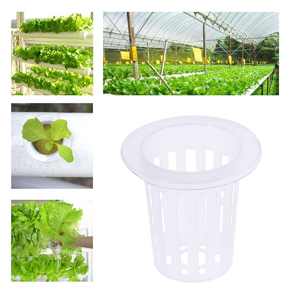 10 ชิ้น กระถางตาข่ายปลูกผักไฮโ - Plant Pot บทวิจารณ์และราคา
