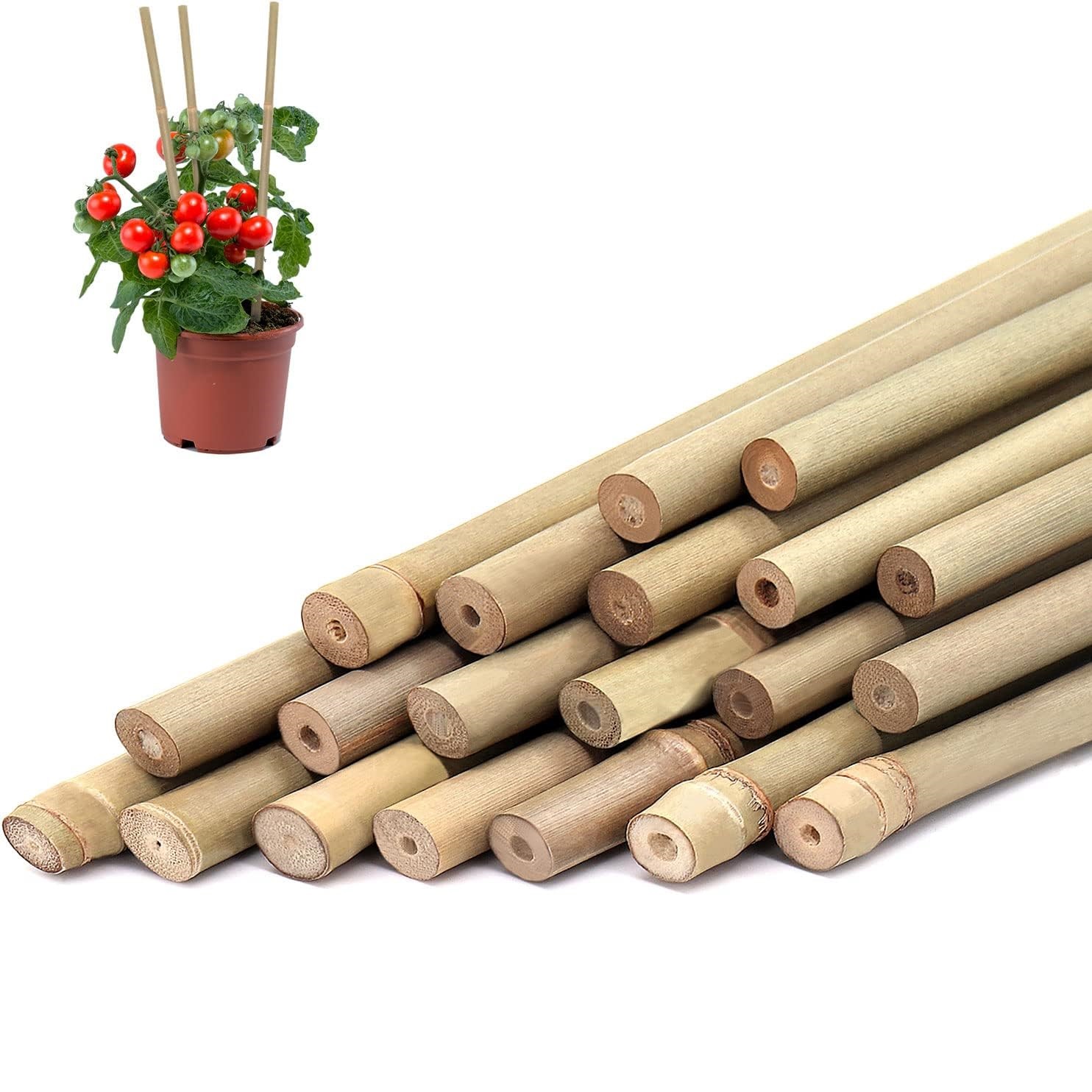 10 ชิ้น, ไม้ไผ่พืชสําหรับกลางแ - Plant Support Stake บทวิจารณ์และราคา