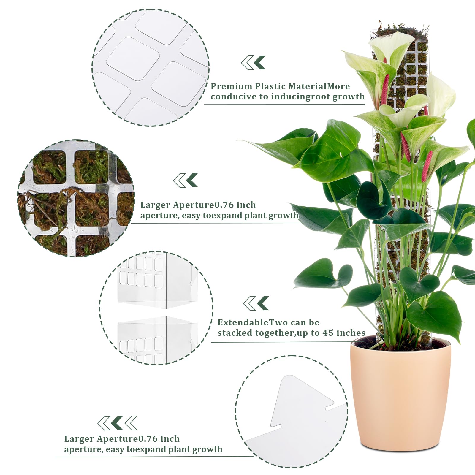 เสาพลาสติกสำหรับพืชเลื้อย สามา - Plant Support Stake บทวิจารณ์และราคา