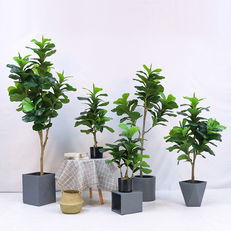 ต้นไม้ประดิษฐ์ในกระถางพลาสติก  - Fiddle Leaf Fig บทวิจารณ์และราคา