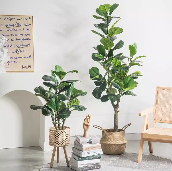 ต้นไม้ประดิษฐ์ในกระถางพลาสติก  - Fiddle Leaf Fig บทวิจารณ์และราคา