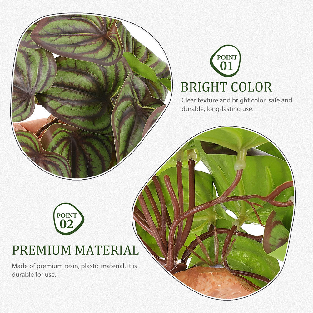 ต้นไม้จำลองคุณภาพสูงสำหรับตกแต - Snake Plant บทวิจารณ์และราคา