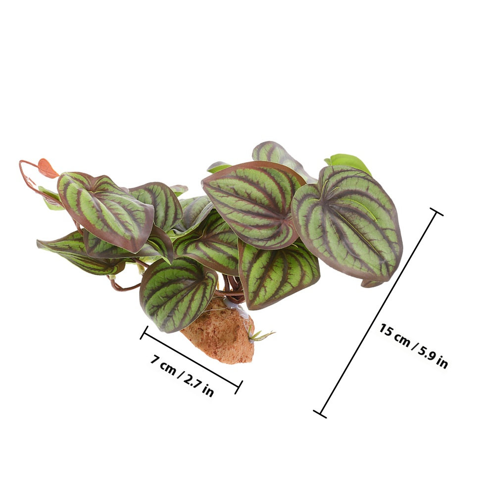 ต้นไม้จำลองคุณภาพสูงสำหรับตกแต - Snake Plant บทวิจารณ์และราคา
