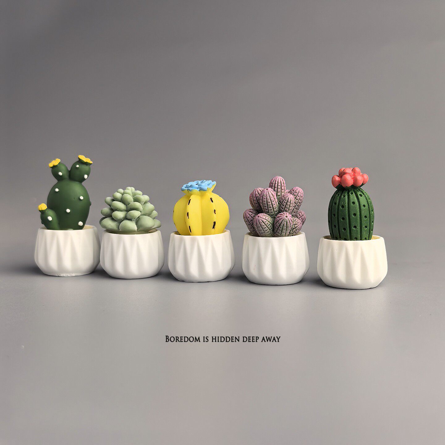 กระบองเพชรในกระถาง ต้นไม้จิ๋ว  - Succulent Set บทวิจารณ์และราคา