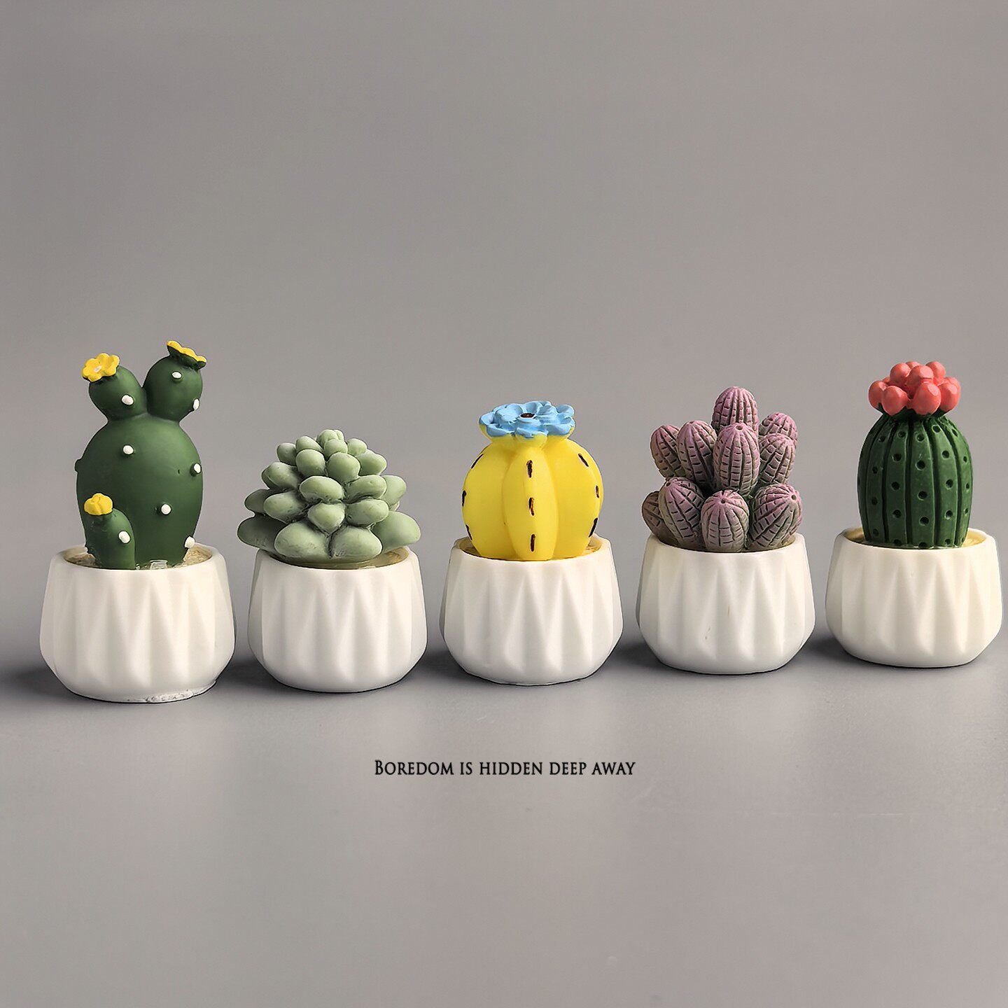กระบองเพชรในกระถาง ต้นไม้จิ๋ว  - Succulent Set บทวิจารณ์และราคา