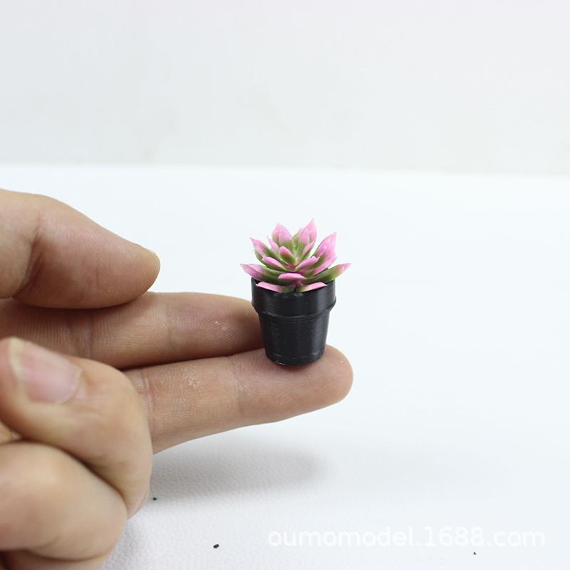มินิจําลองพืชกระบองเพชรดอกไม้ฉ - Succulent Set บทวิจารณ์และราคา