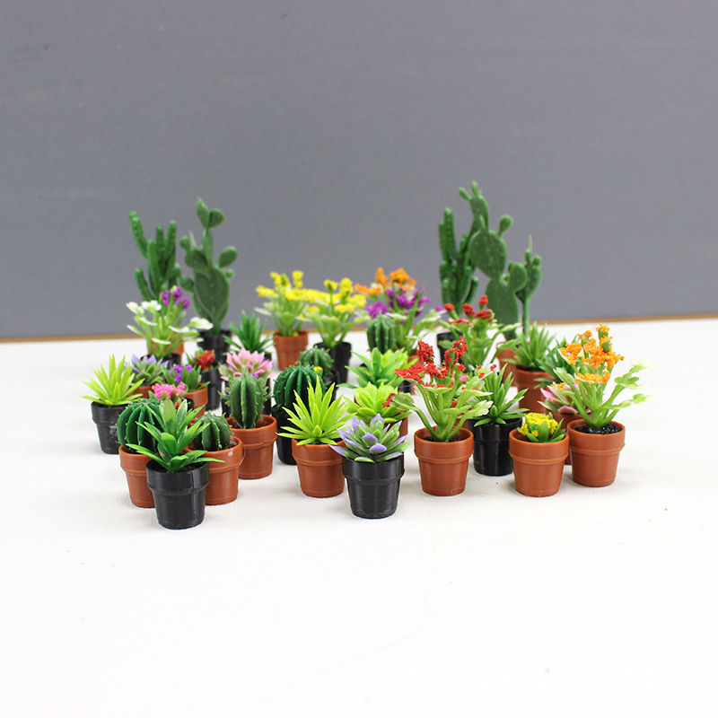 มินิจําลองพืชกระบองเพชรดอกไม้ฉ - Succulent Set บทวิจารณ์และราคา