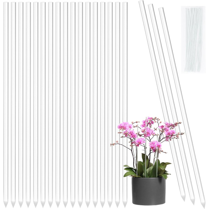 เสาค้ำดอกไม้แบบใส ใช้ซ้ำได้ ทำ - Plant Support Stake บทวิจารณ์และราคา