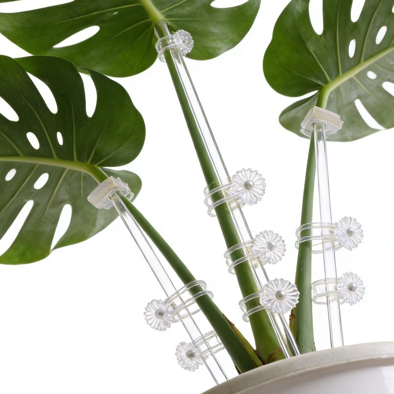 เสาค้ำดอกไม้แบบใส ใช้ซ้ำได้ ทำ - Plant Support Stake บทวิจารณ์และราคา