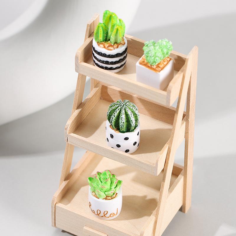 ชุด 4 ชิ้นของต้นกระบองเพชรและไ - Succulent Set บทวิจารณ์และราคา