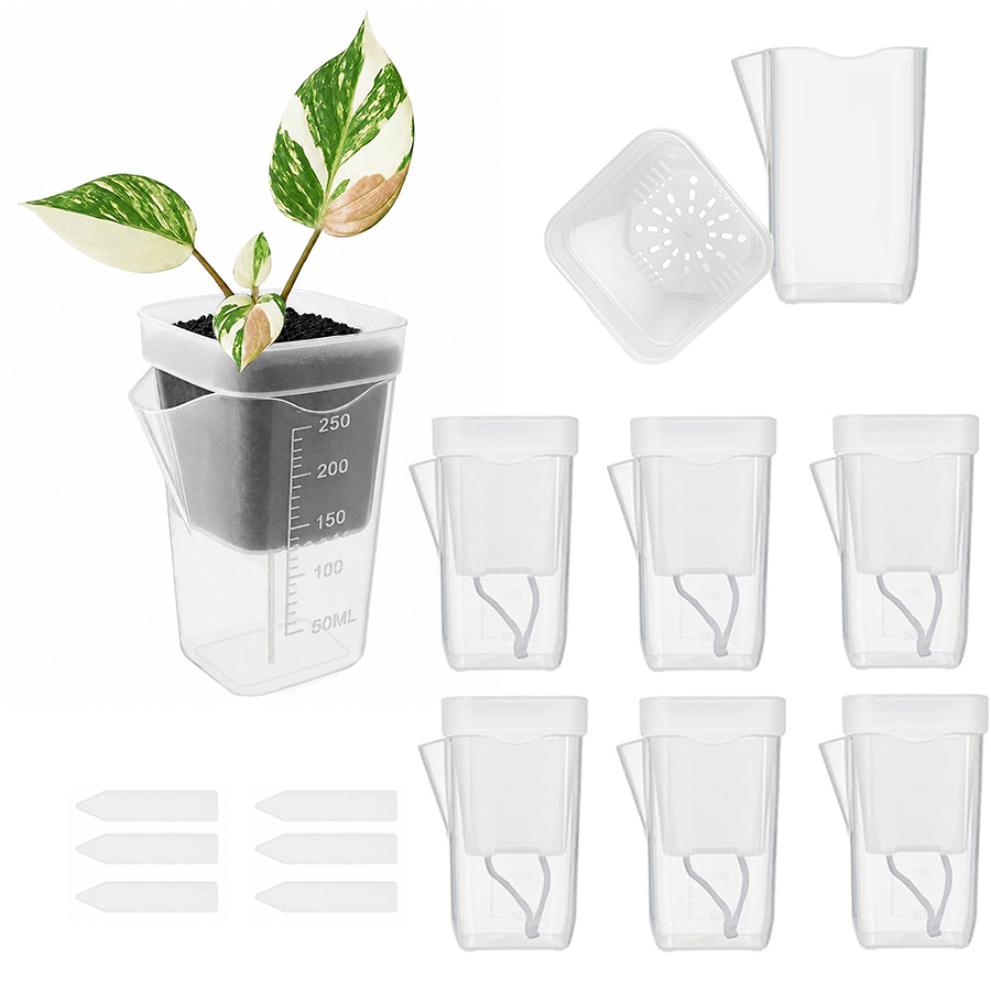 ชุดอุปกรณ์ปลูกต้นไม้แบบรดน้ำเอ - Succulent Set บทวิจารณ์และราคา