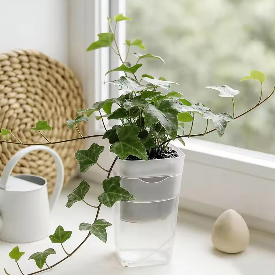 ชุดอุปกรณ์ปลูกต้นไม้แบบรดน้ำเอ - Succulent Set บทวิจารณ์และราคา