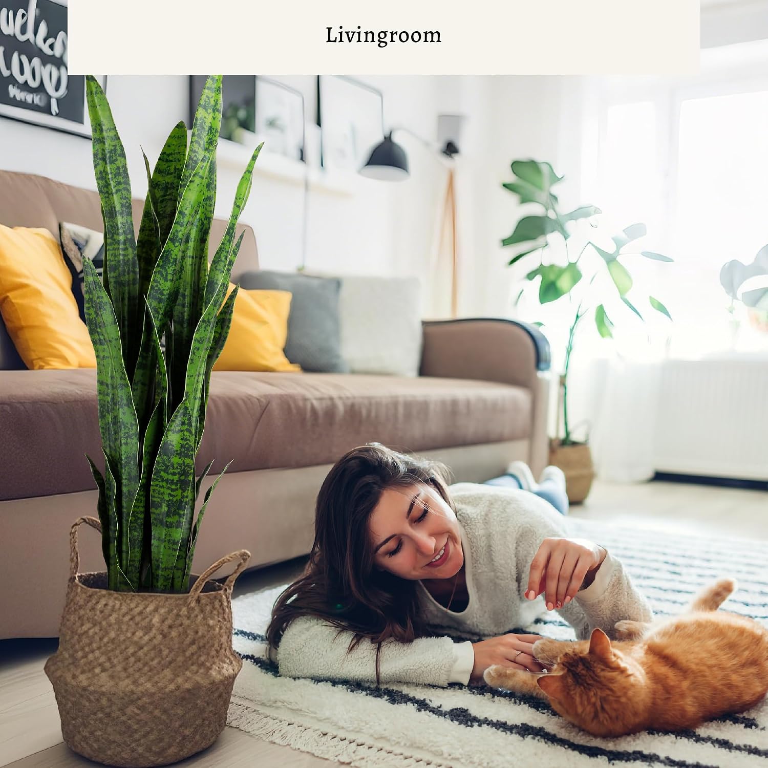 ต้นไม้ประดิษฐ์ลายงู, ต้นไม้จำล - Snake Plant บทวิจารณ์และราคา